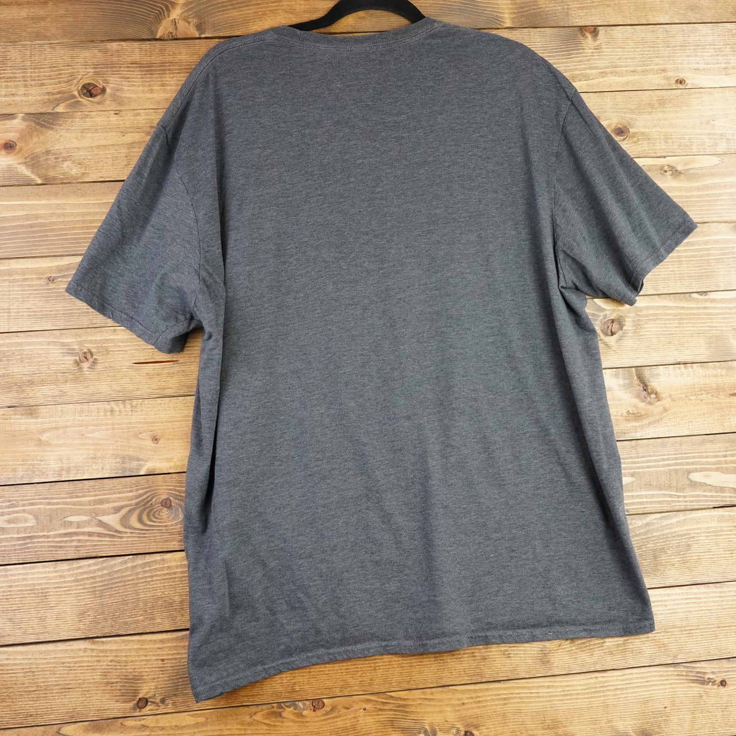 The Lion King Gray Shirt